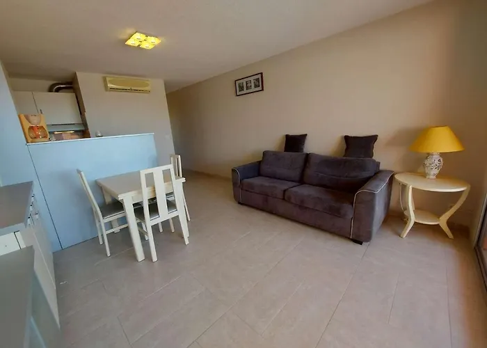 2 Pièces Climatisé En Front De Au Grau D'agde Avec Terrasse Et Accès Direct à La - Fr-1-423-275 * Le Grau d'Agde