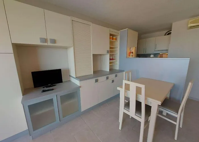 Apartamento 2 Pièces Climatisé En Front De Au Grau D'agde Avec Terrasse Et Accès Direct à La - Fr-1-423-275