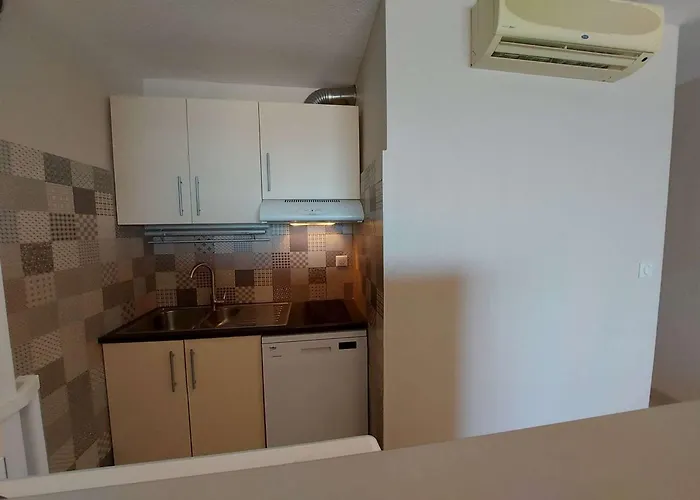 2 Pièces Climatisé En Front De Au Grau D'agde Avec Terrasse Et Accès Direct à La - Fr-1-423-275